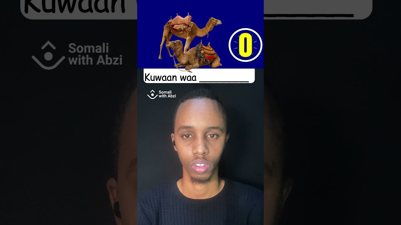 Animal names in Somali - part 01 - YouTube