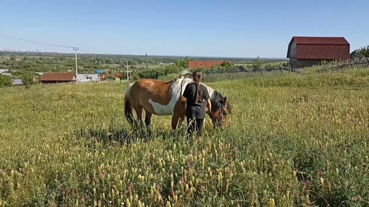У друзей в Торновом, что за Рождествино хорошо привольно - YouTube