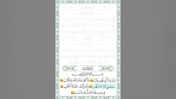سورة المسد من 1 إلى 5 مكرر