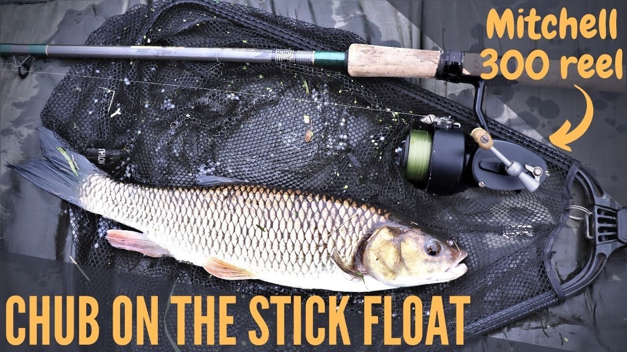 Chub Fishing a Small River using a Stick Float and Mitchell 300 Reel
