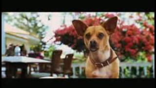 Una Chihuahua de Beverly Hills Trailer