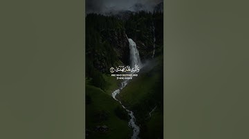 سبح اسم ربك الأعلى | تلاوة هادئة | عبد الرحمن مسعد | القرآن الكريم | #quran | #القرآن_الكريم #سورة |