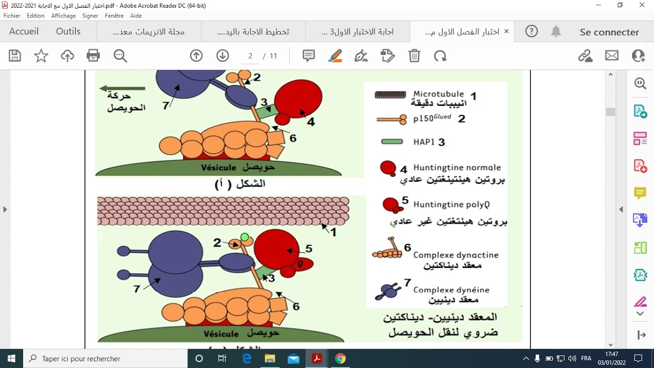 العرض 4 حل الجزء الثاني من التمرين الثاني للاختبار