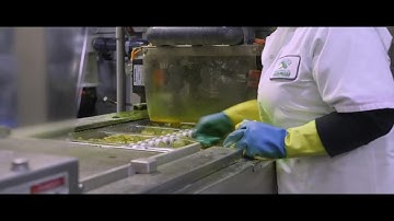 Hausbeck Pickles: Why they trust the Plex Manufacturing Cloud to ensure quality in every product