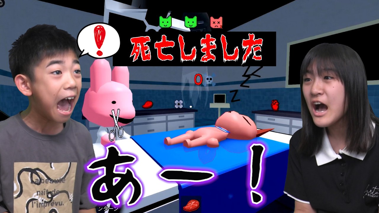 【ROBLOX】あちゃぎんも動物病院プレイしてみた！ぎんは鼻血ｗ
