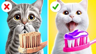 Rich VS Poor Kitten 🤑😿 *Crazy Gadgets For Your Pets*