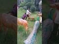 ❤️❤️🥰 kids funny park reels#trending # #ytshorts #shortsfeed #shorts