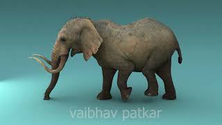 Elephant walk cycle