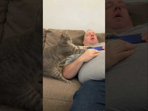😱شوف اقوئ حب جعل القط يحارب كرماله😻📱🥺 #funny #اكسبلور