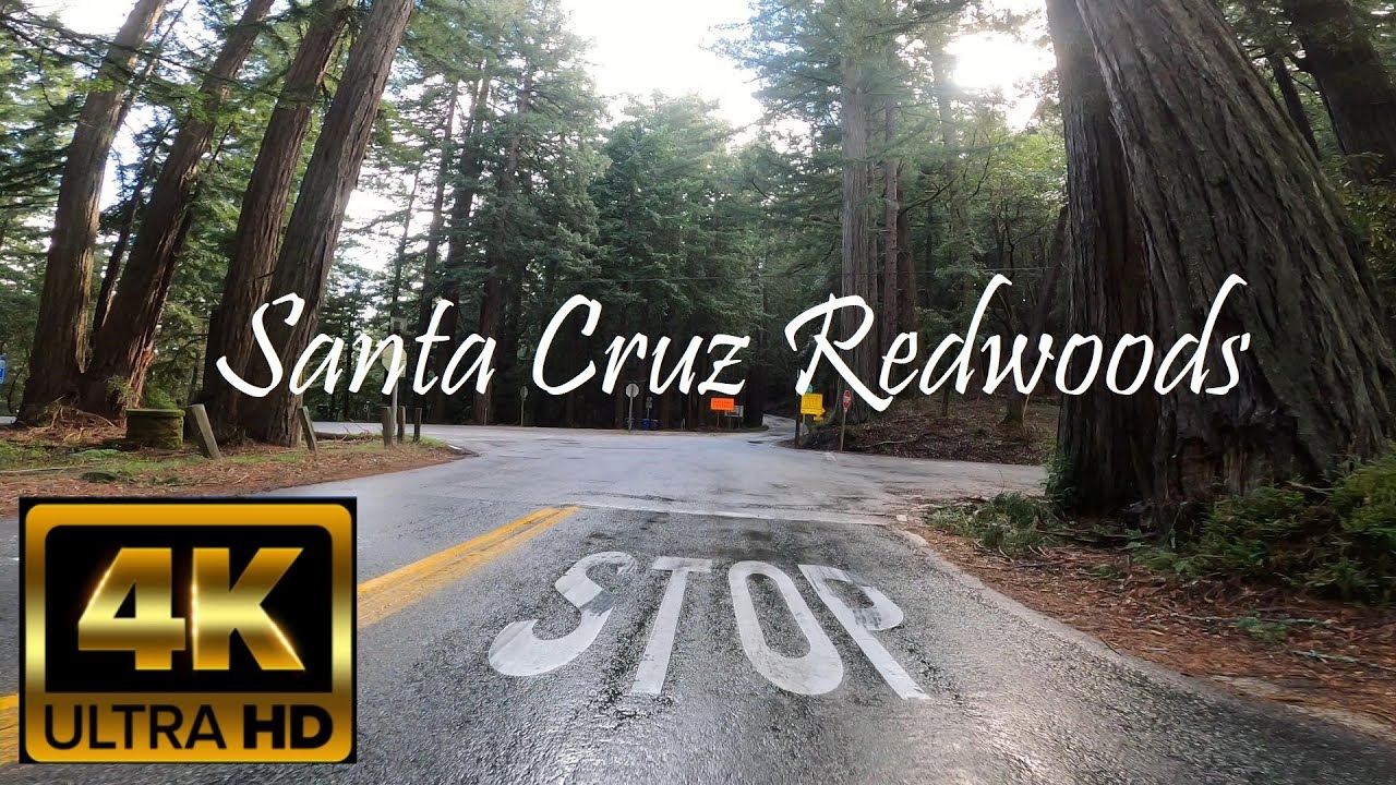 Relaxing POV motorcycle ride through the Santa Cruz mountains.  Coastal Redwoods in 4K (with music).