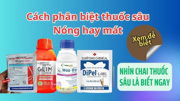 Cách phân biệt thuốc trừ sâu nóng mát| Tìm hiểu các dạng thuốc bvtv