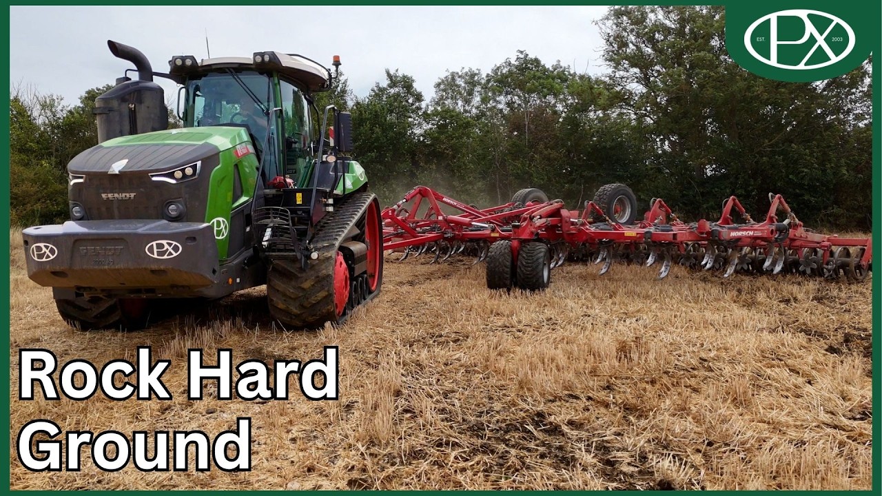 Cultivating New Farms in the Hardest Conditions of Our Lives