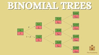 Binomial Tree (Three-Step) Simplified