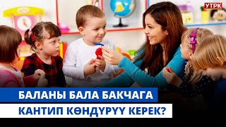 картинка: Баланы бала бакчага кантип көндүрүү керек? | 