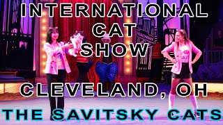 Trained Cats At The International Cat Show In Cleveland, OH, CFA by The Savitsky Cats 4,102 views 4 years ago 1 minute, 27 seconds