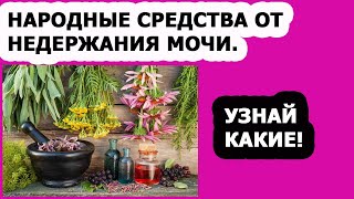 Лечение недержания мочи у женщин народными средствами в домашних условиях