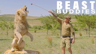I Have 7 Lions & Theyve Tried To Eat Me | BEAST BUDDIES