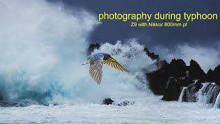 Shooting Typhoon Hinnamnor in Okinawa using Nikon Z9 and 800mm PF - OkiPixelFinders