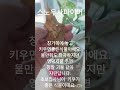 2026년 6월 16일