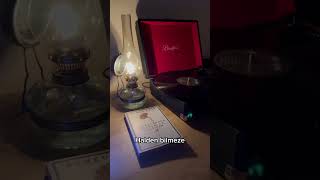 Ahmed Arif - Hasretinden Prangalar Eskittim Resimi