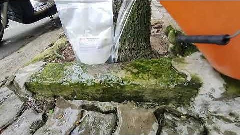 Tẩy rong rêu siêu nhanh, an toàn, hiệu quả [BỘT TẨY RONG RÊU ROC - 0843.274.222]