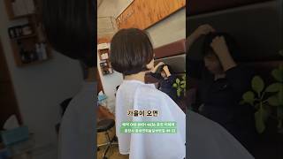 멋진 #중년스타일 #청담동사모님헤어스타일 #보브단발펌 #춘천보브전문 가을엔보브💕