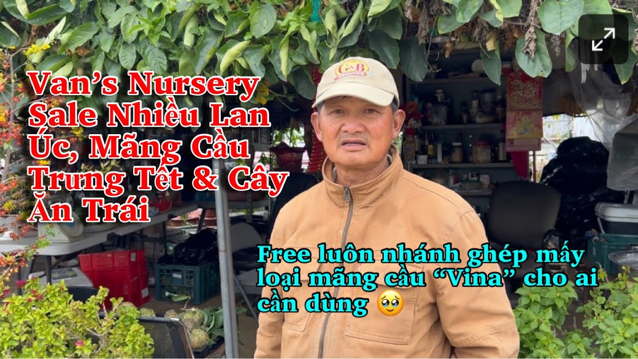 Vườn Anh Vân Sale Nhiều Lan Úc Sưu Tầm & Trái Mãng Cầu & Hoa Cho Tết