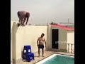رجل ضخم يحدث زلزال هههههههههه مضحك