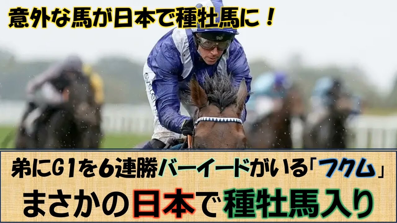 【競馬情報】超良血欧州G1馬が日本で種牡馬に！バーイード全兄フクムが日本で種牡馬となる事が決定☆