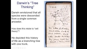 BIOL 1407 Chapter 20 Recorded Lecture Part 1