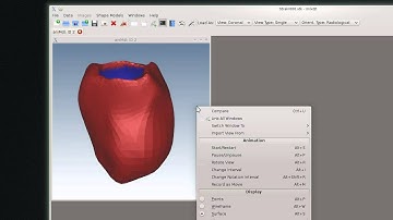 SMILI Animation Example