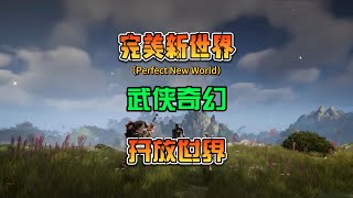 一款全新东方奇幻 开放世界 MMORPG游戏  《完美新世界》 screenshot 1