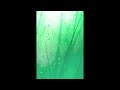 [FREE] yeat x trippie redd x kankan type beat - "blown"