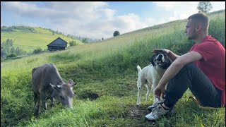 How a young man lives and works in the mountains. village and domestic animals