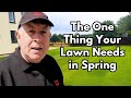 Revamping Spring Grass: Tips For A Greener Lawn