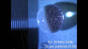 Acoustofluidic particle manipulation inside a sessile droplet: four distinct regimes of particle...