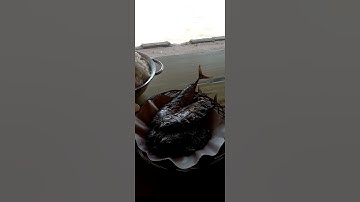 IKAN BAKAR TEPI PANTAI! Nikmatnya Makan di Pantai Pangi, Blitar #beach #nature #food
