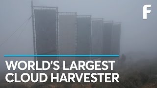 Cloud Harvesting Nets Trap Drinking Water Like Cobwebs