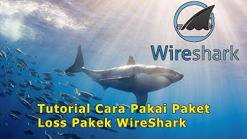 Tutorial Cara Cari Paket Loss (QOS) Pakek WireShark