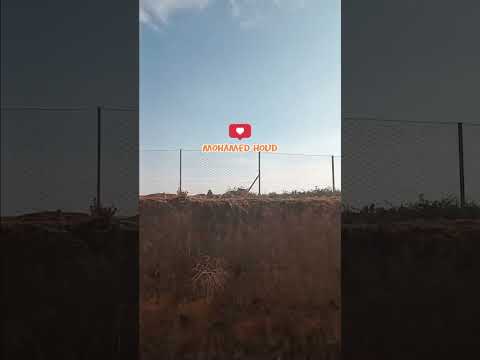 عارف راسو نيتو خايبة هههه اكسبلور ماوراءيات قضايا وتحقيقات قصص