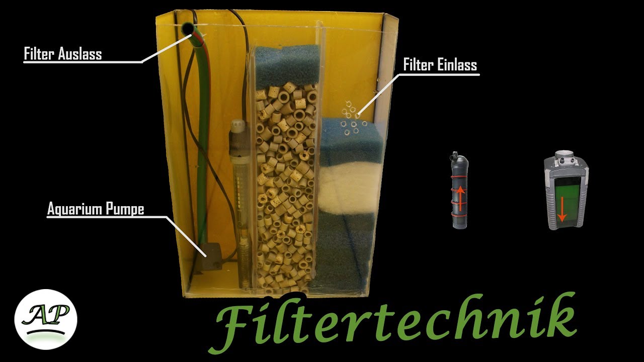 Wie funktionieren Aquariumfilter? Aquarienportal YouTube