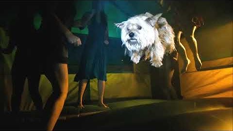 Heads Will Roll - Yeah Yeah Yeahs (Lyrics) (Project-X soundtrack)