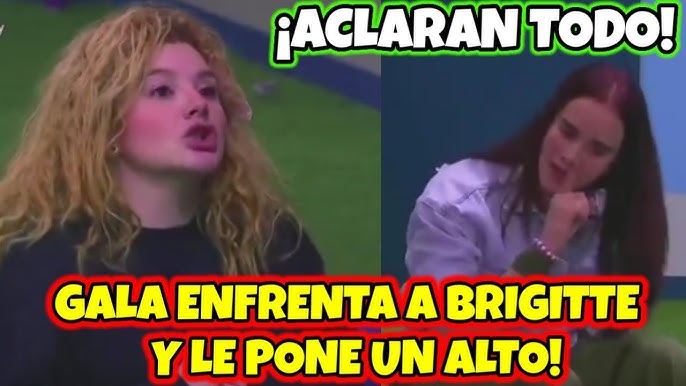GALA ENFRENTA A BRIGITTE Y LE PONE UN ALTO! LA CASA DE LOS FAMOSOS MÉXICO #lcdlfmx - YouTube