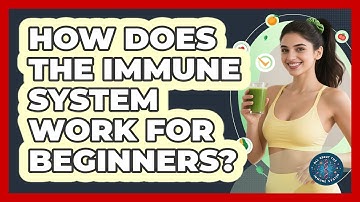 How Does The Immune System Work For Beginners? - All About the Immune System