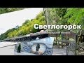 Светлогорск, Калининградская область