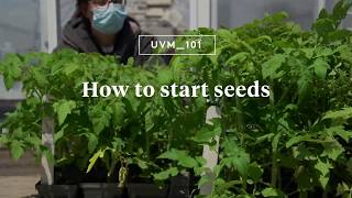UVM 101: How to Start Seeds