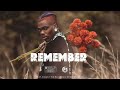 FREE REMEMBER CKay Type Beat 2026 Emotional Afrobeat Guitar Instrumental Afro Pop Beat 