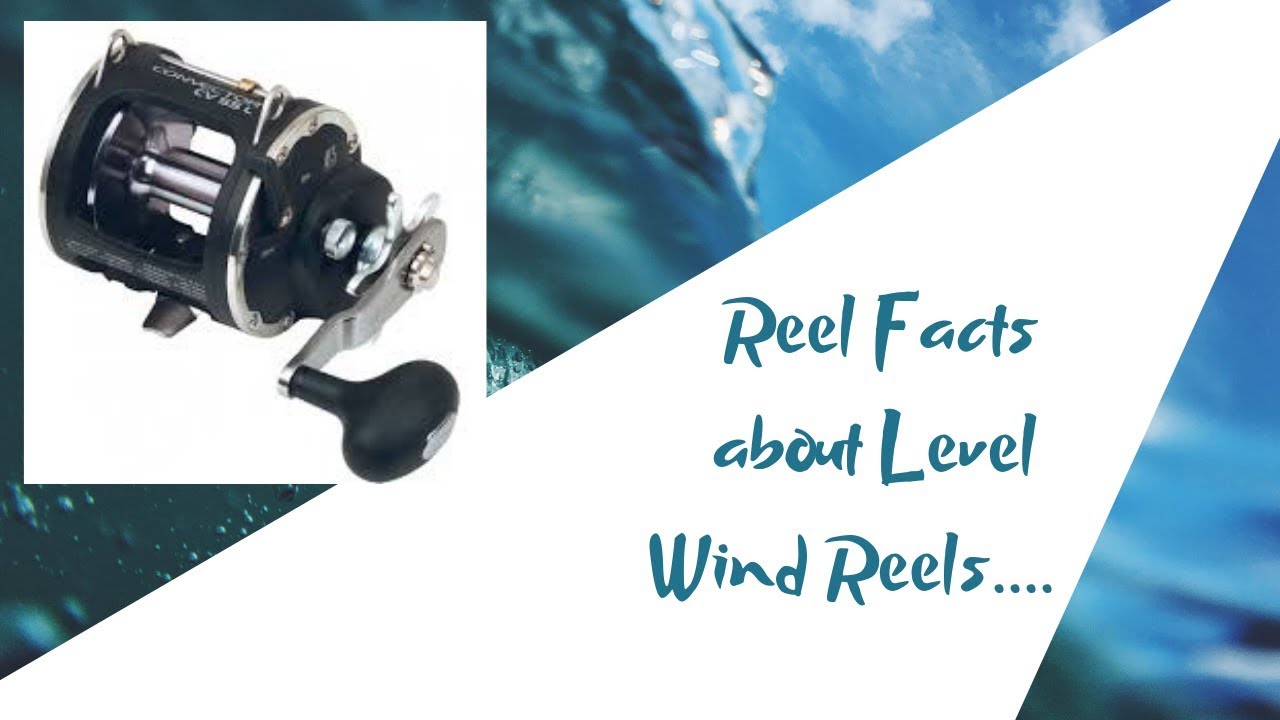 Salmon Reels Explained/Fundamental Fishing YouTube