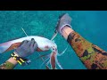 Spearfishing video Episode 5 by Salman Alblawi