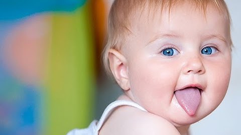 Funny Kids Videos - Babies Don